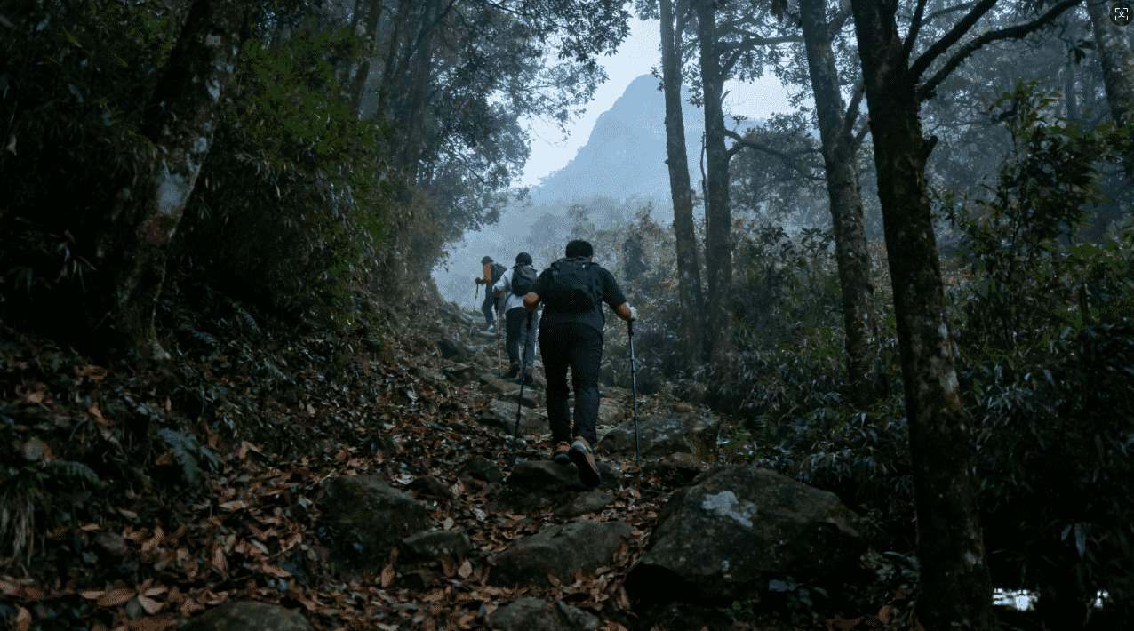 黑洞加速器安卓版全面升级，网络速度更快更稳定体验升级
