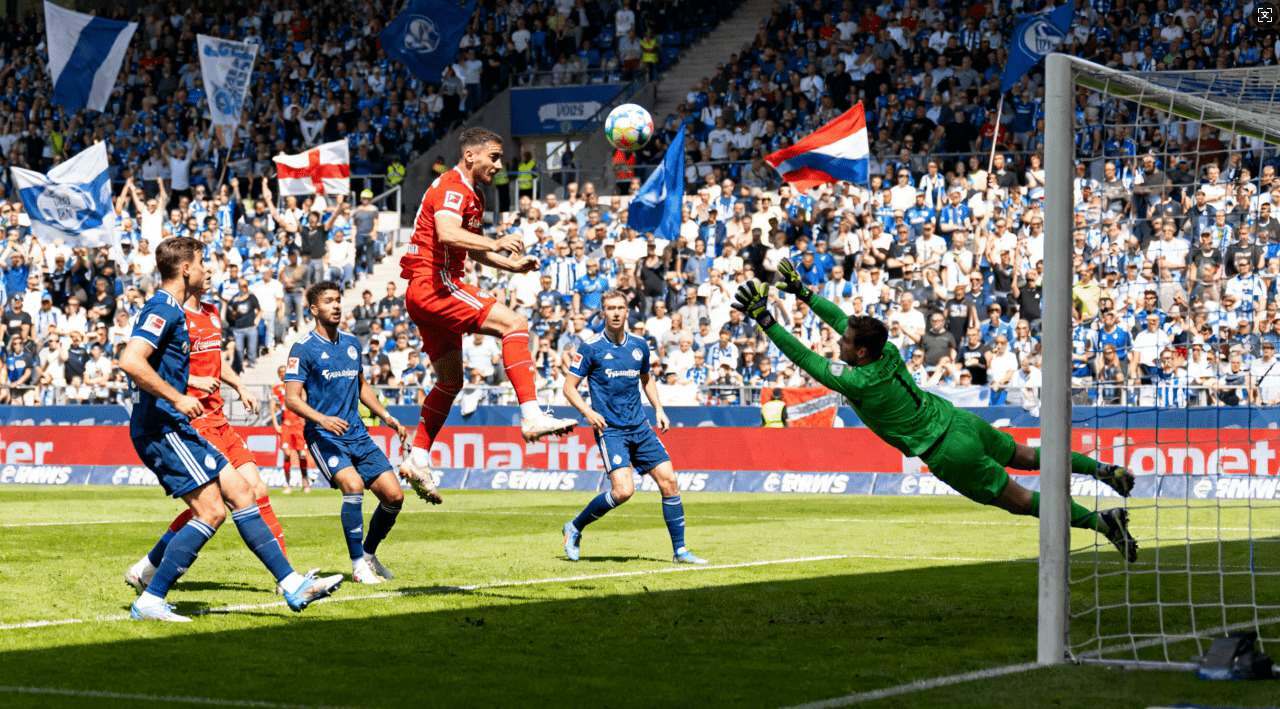 黑洞蜜蜂加速器全面解析：揭秘提升网络速度的终极秘密武器